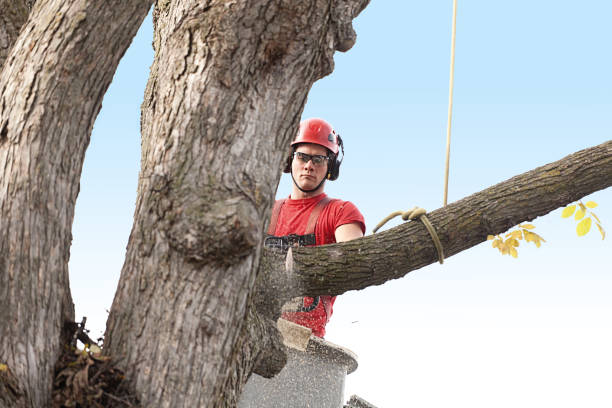 Mulching Services in Cookeville, TN